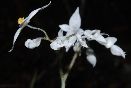 $publishedArticle->coverImageAltText