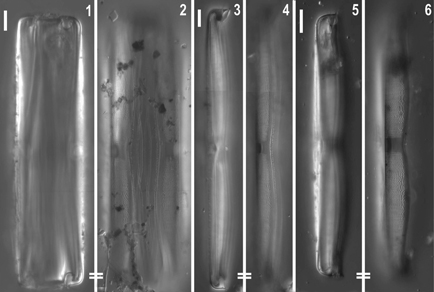 $publishedArticle->coverImageAltText