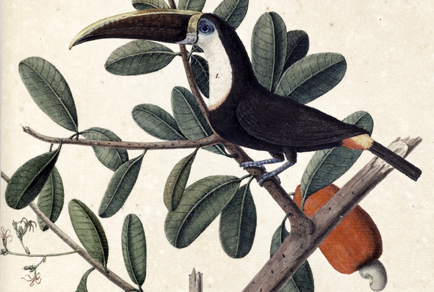 $publishedArticle->coverImageAltText