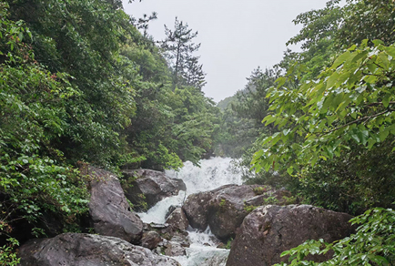 $publishedArticle->coverImageAltText