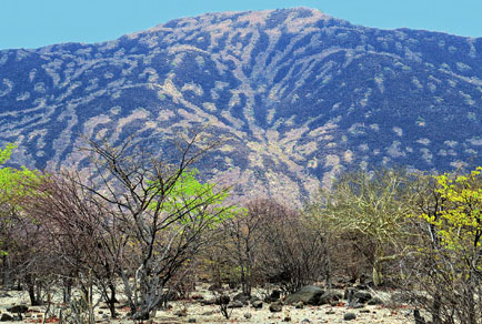 $publishedArticle->coverImageAltText