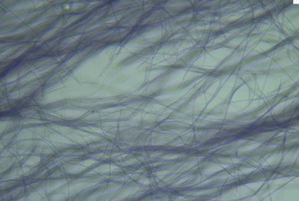 $publishedArticle->coverImageAltText