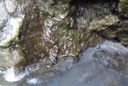 $publishedArticle->coverImageAltText