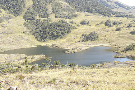 $publishedArticle->coverImageAltText