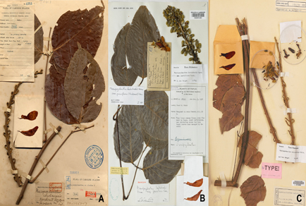 $publishedArticle->coverImageAltText