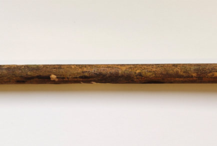 $publishedArticle->coverImageAltText