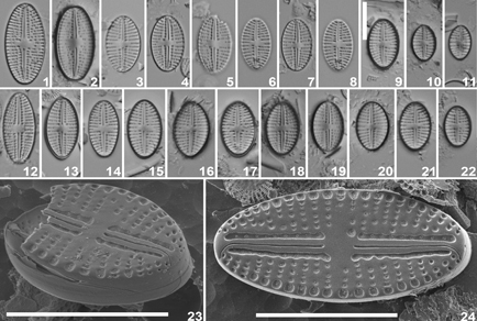 $publishedArticle->coverImageAltText