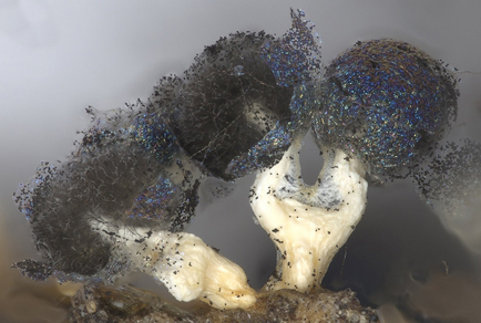 $publishedArticle->coverImageAltText