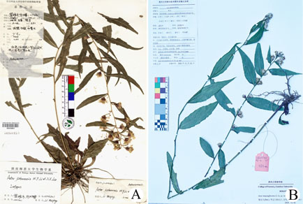 $publishedArticle->coverImageAltText