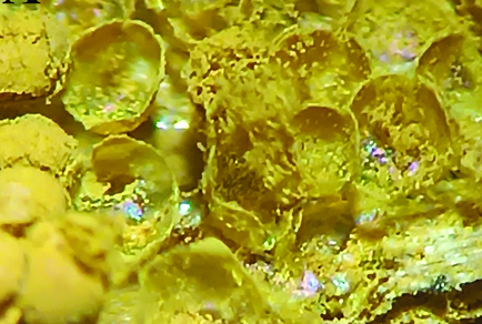 $publishedArticle->coverImageAltText