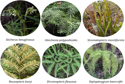 $publishedArticle->coverImageAltText