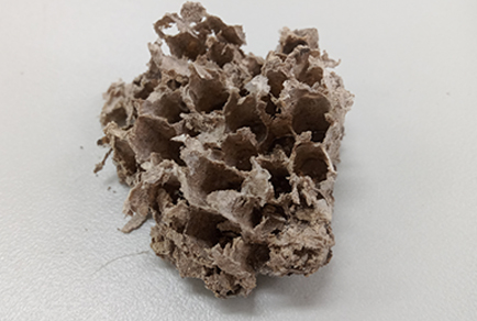 $publishedArticle->coverImageAltText