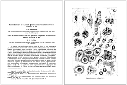 $publishedArticle->coverImageAltText