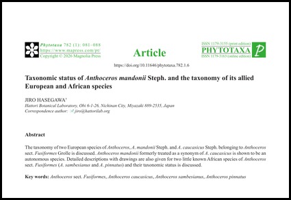 $publishedArticle->coverImageAltText