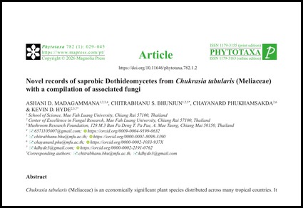 $publishedArticle->coverImageAltText