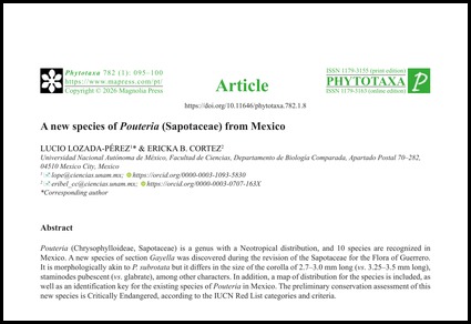 $publishedArticle->coverImageAltText